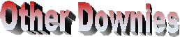Other Downies